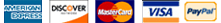 MasterCard, Maestro, Visa, AmericanExpress